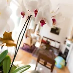 Casa Malena Bed & Breakfast 3*