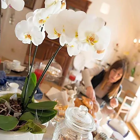 Casa Malena Bed & Breakfast