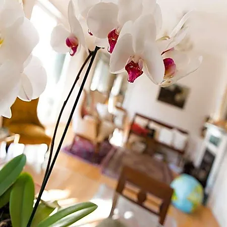 Casa Malena Bed & Breakfast Ascoli Piceno